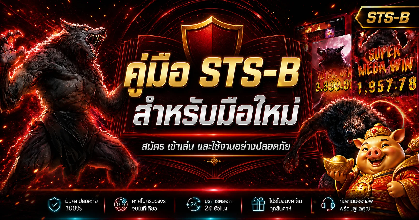 คู่มือ STS-B สำหรับมือใหม่ด้านการสมัครและความปลอดภัย